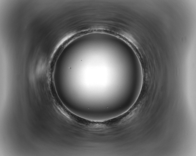 X0000087051119200704181231
