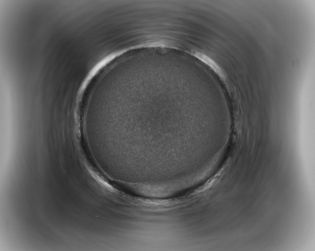 X0000087051120200704181231