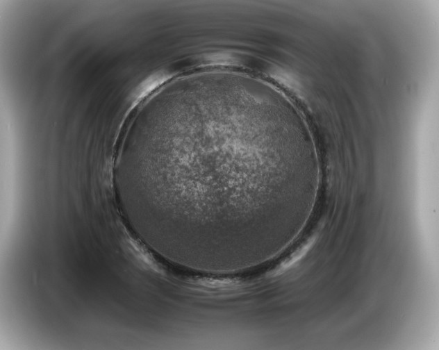 X0000087051121200704181231