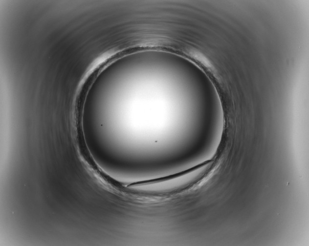X0000087051122200704181231