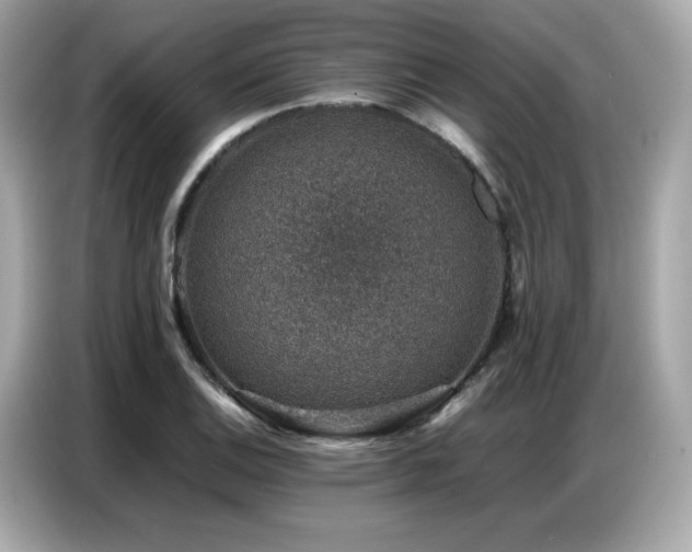 X0000087051124200704181231