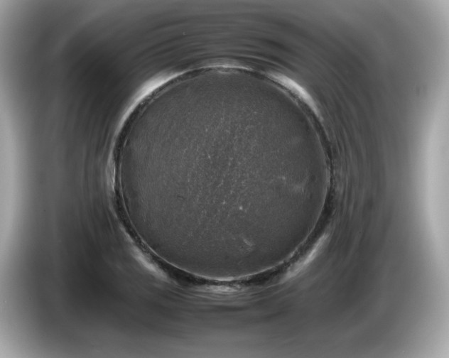 X0000087051125200704181231