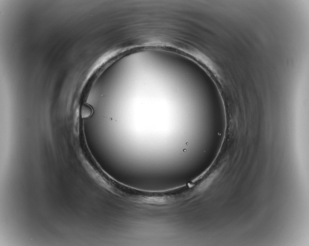 X0000087051126200704181231