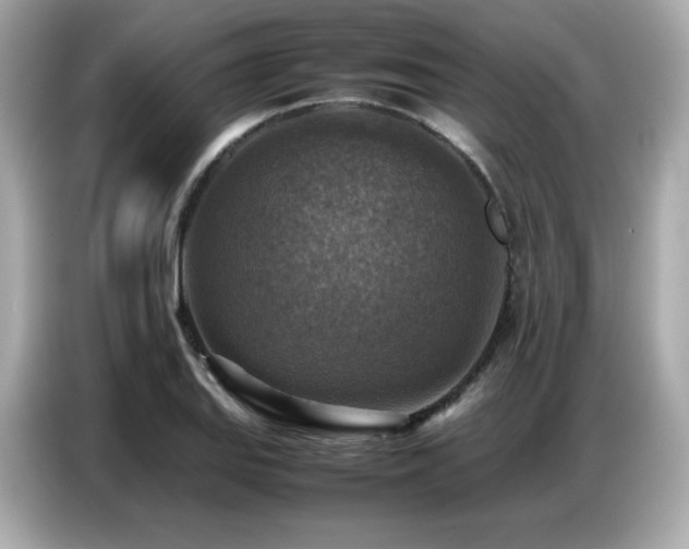 X0000087051127200704181231