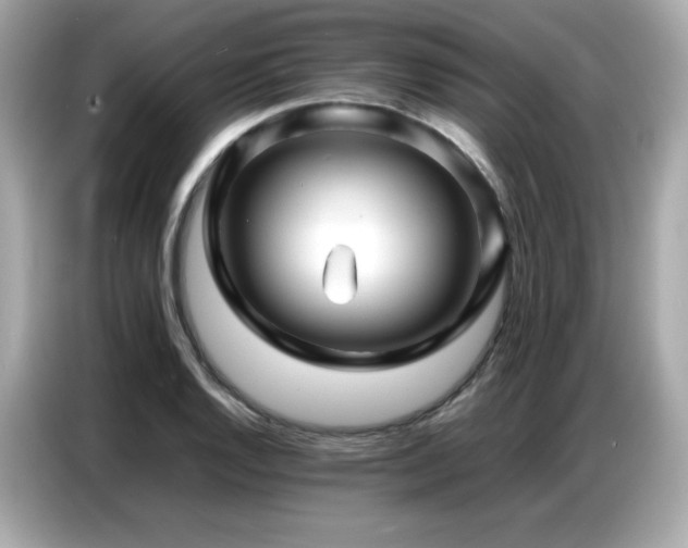 X0000087051128200704181231