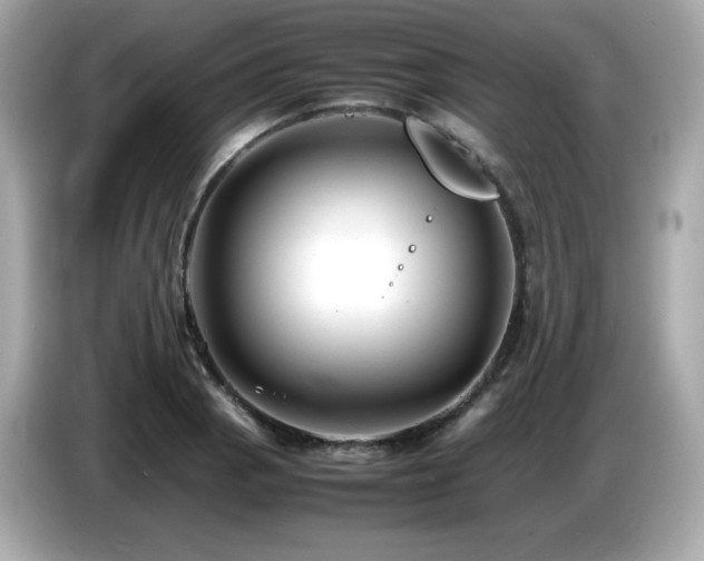 X0000087051129200704181231