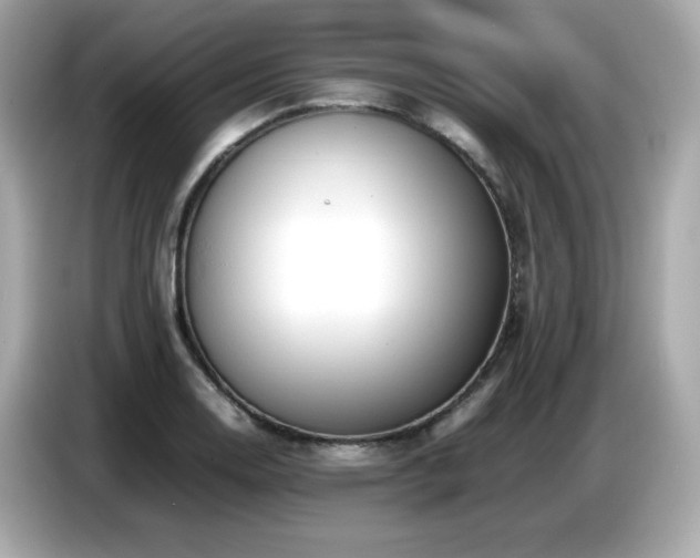 X0000087051130200704181231