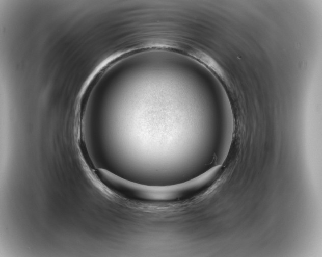 X0000087051132200704181231