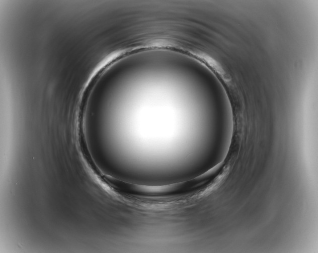 X0000087051134200704181231