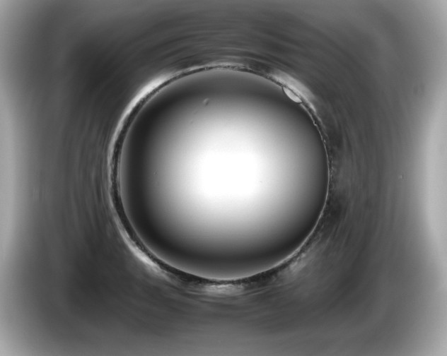 X0000087051135200704181231