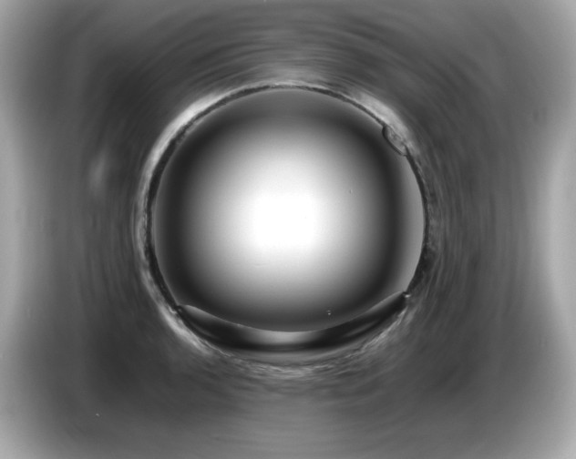 X0000087051136200704181231