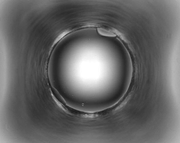 X0000087051137200704181231