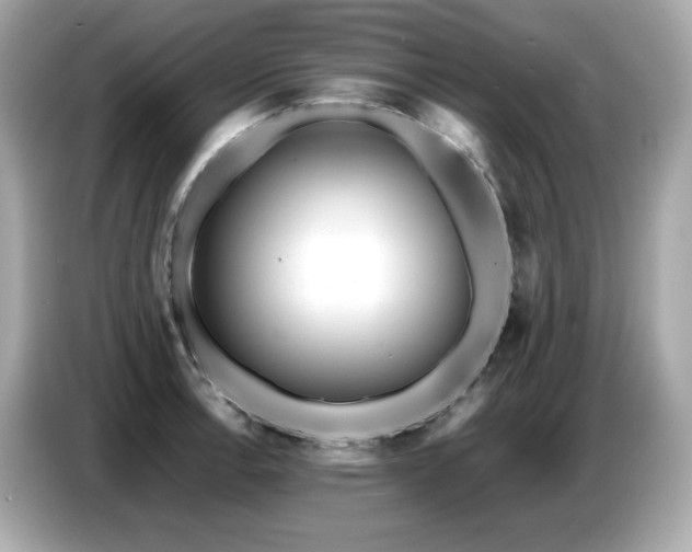 X0000087051138200704181231