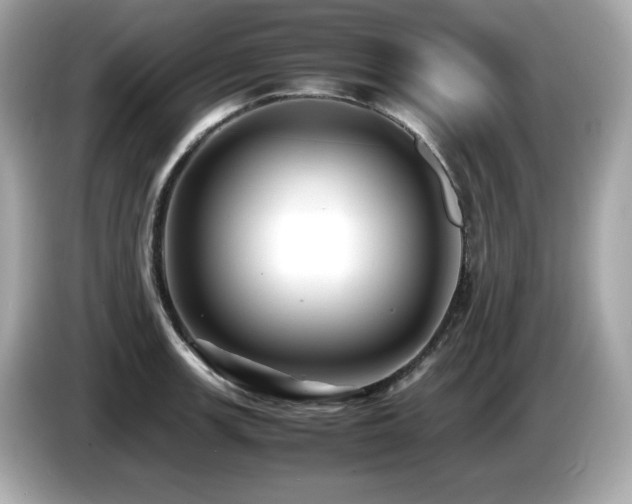 X0000087051139200704181231