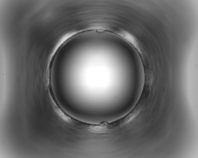 X0000087051140200704181231