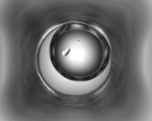 X0000087051141200704181231