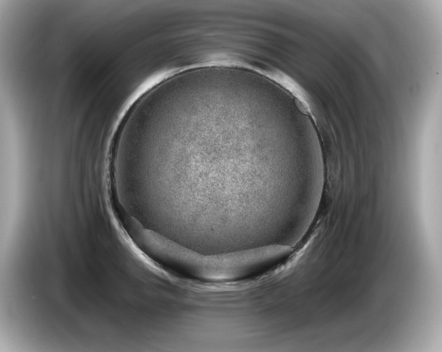 X0000087051142200704181231