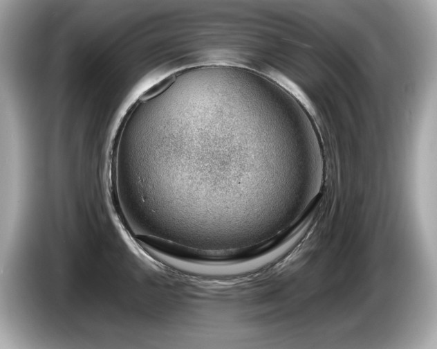 X0000087051144200704181231