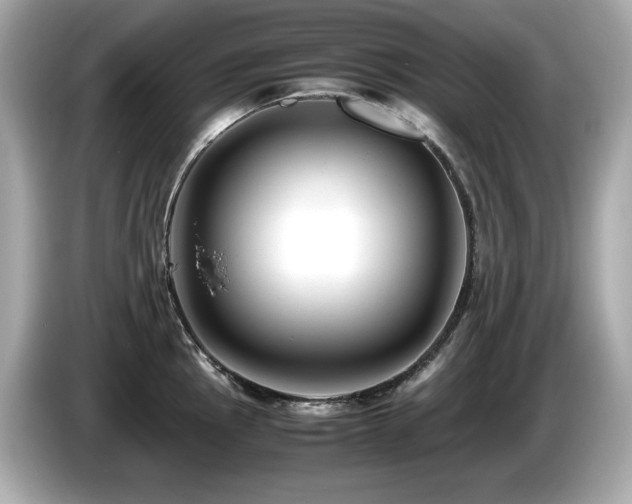 X0000087051145200704181231