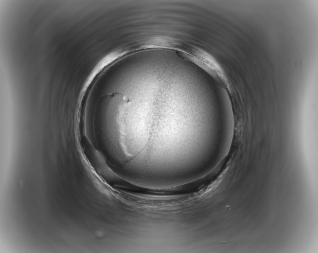 X0000087051146200704181231
