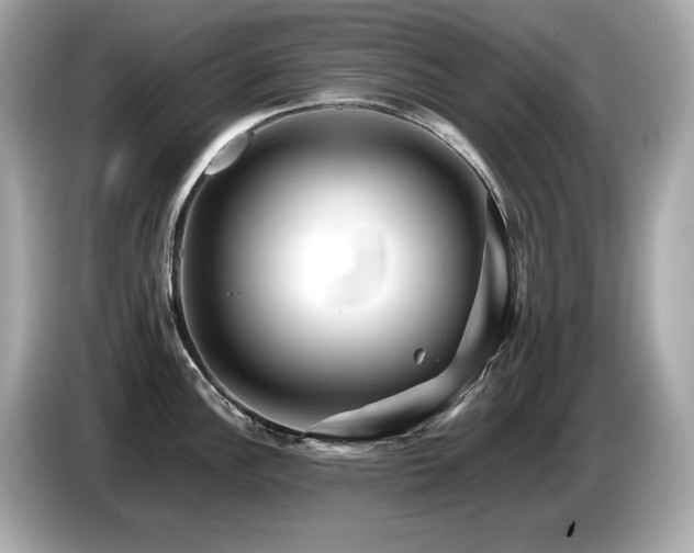 X0000087051148200704181231