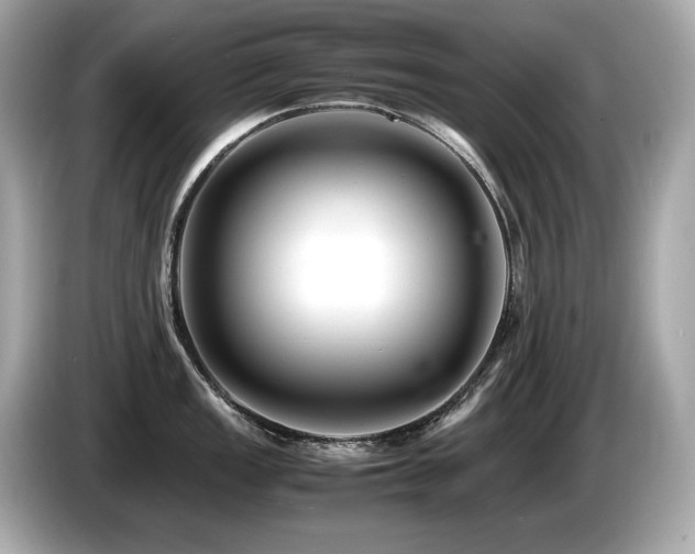 X0000087051149200704181231