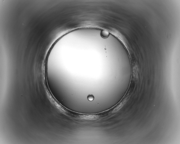 X0000087051150200704181231