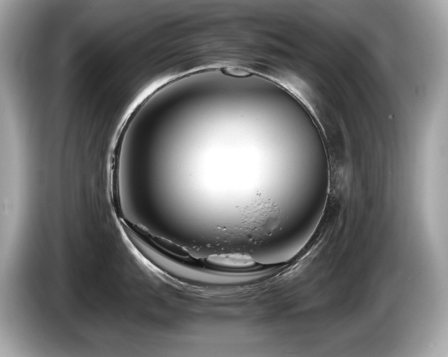 X0000087051151200704181231