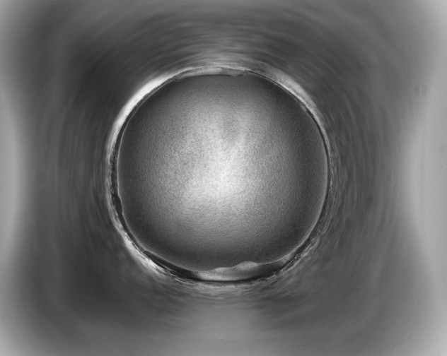 X0000087051152200704181231