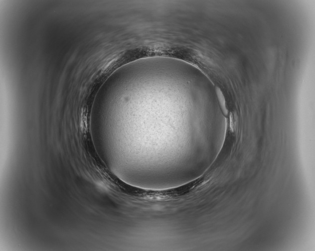 X0000087051155200704181231