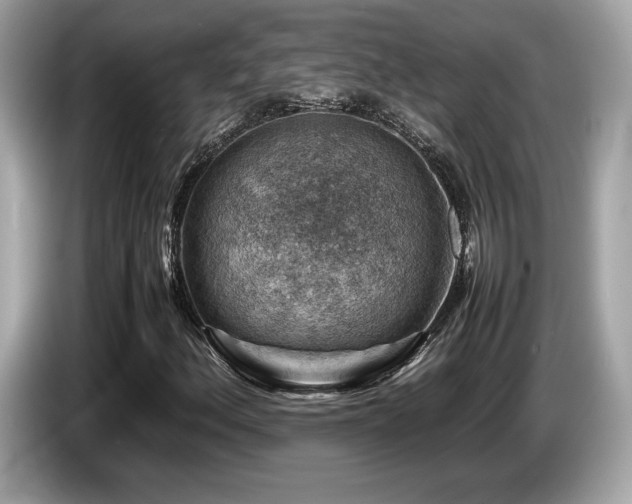 X0000087051156200704181231