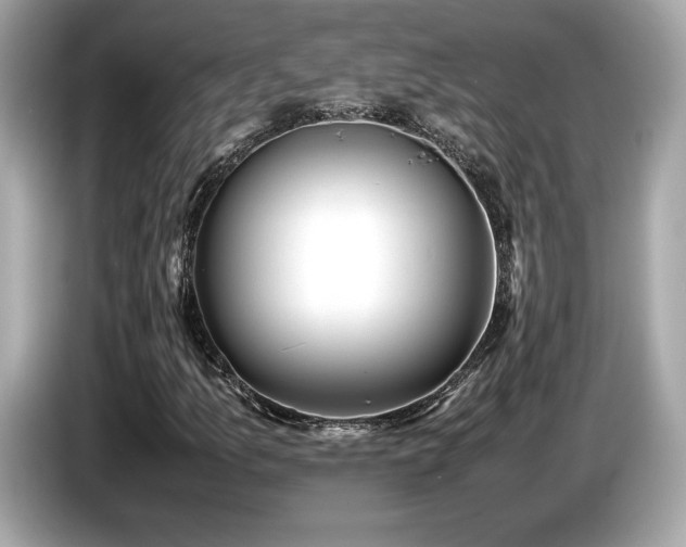 X0000087051157200704181231