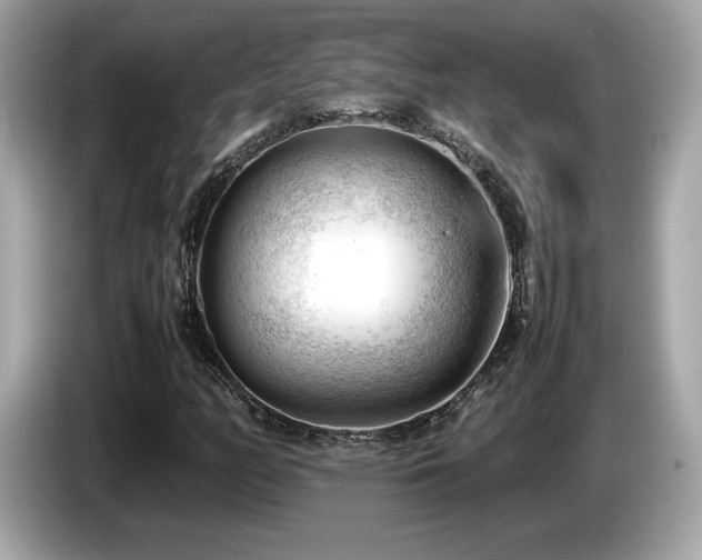 X0000087051158200704181231