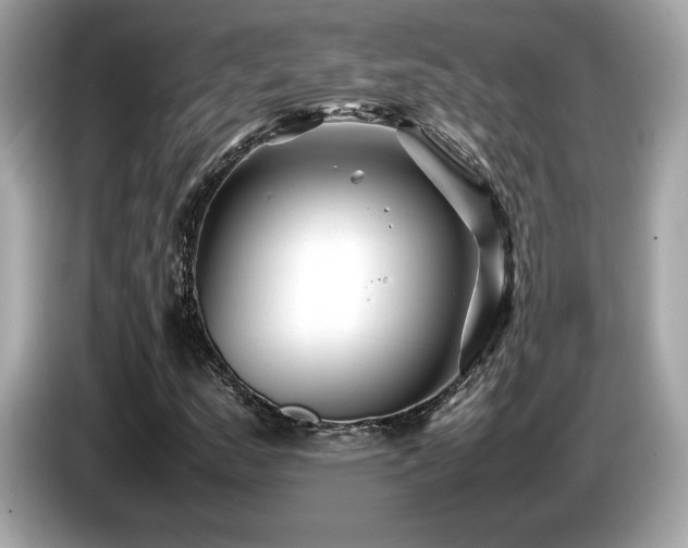 X0000087051159200704181231