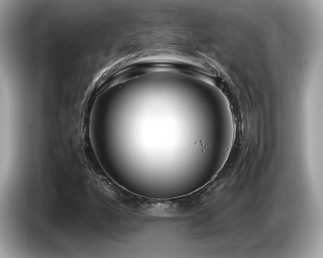 X0000087051160200704181231