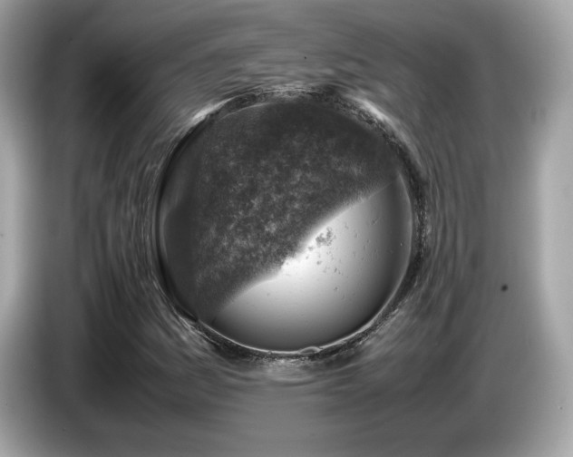 X0000087051161200704181231