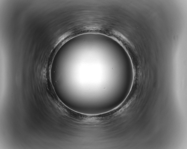X0000087051162200704181231