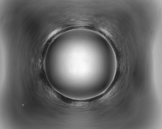 X0000087051163200704181230