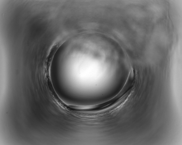 X0000087051164200704181230