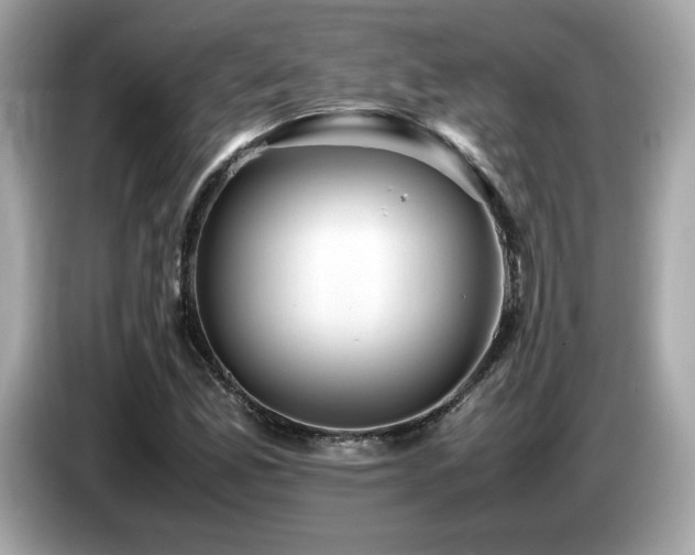X0000087051165200704181230