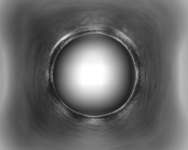 X0000087051166200704181230
