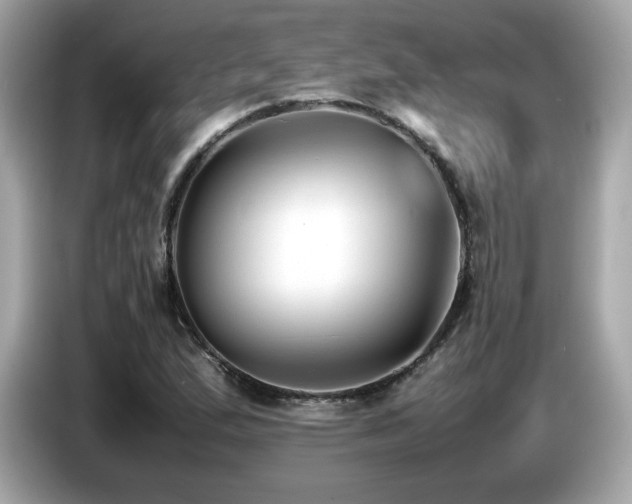 X0000087051167200704181230