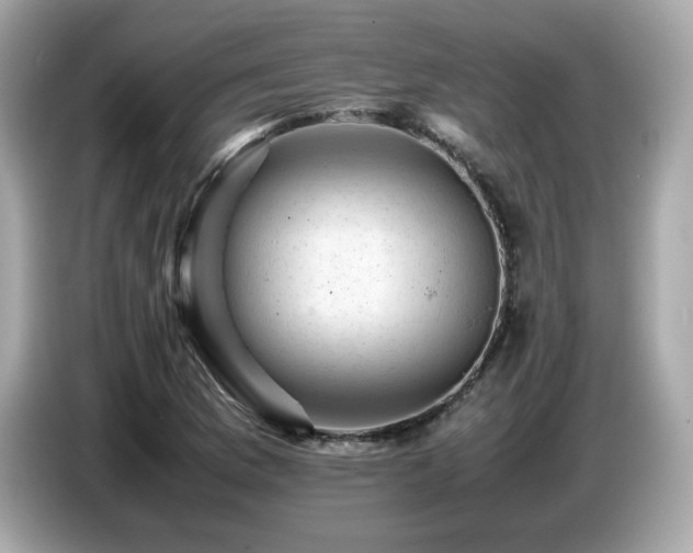 X0000087051169200704181230