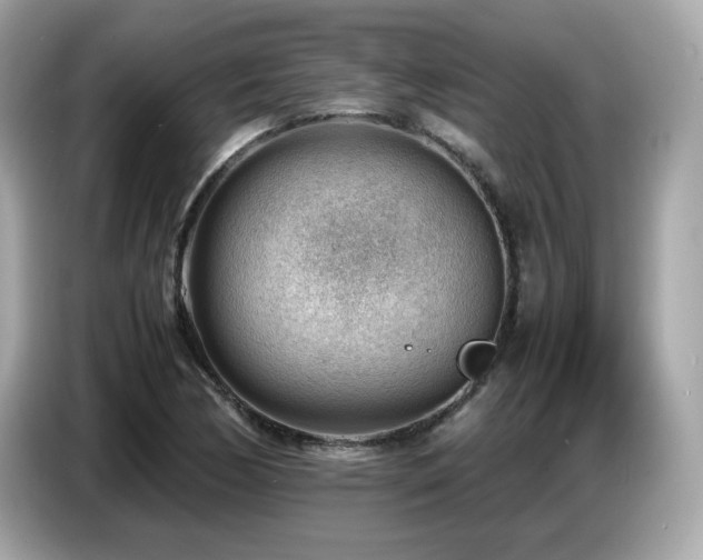 X0000087051170200704181230