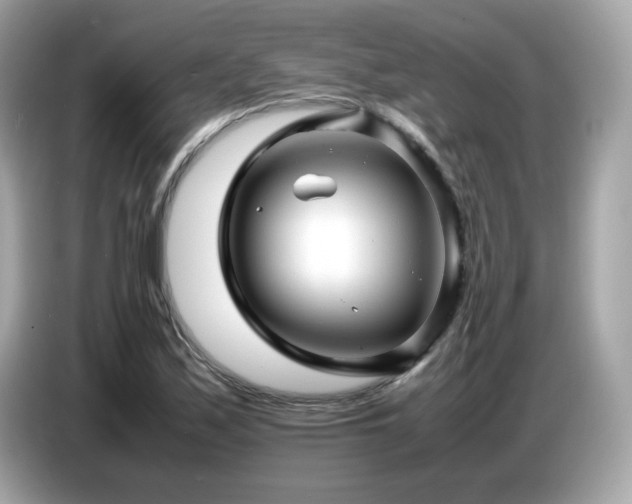 X0000087051171200704181230