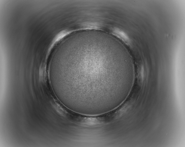 X0000087051172200704181230