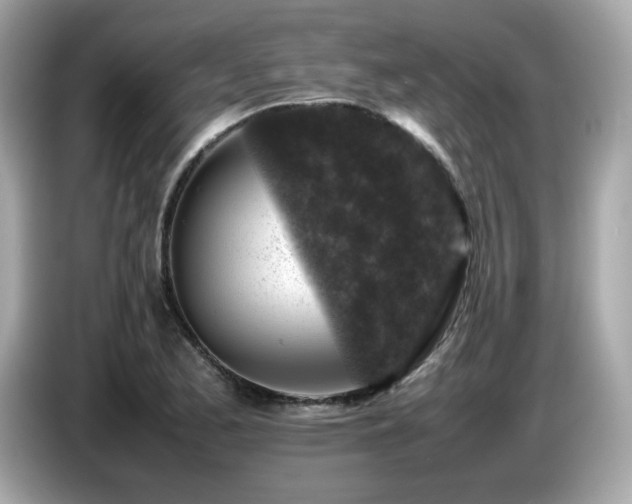 X0000087051173200704181230