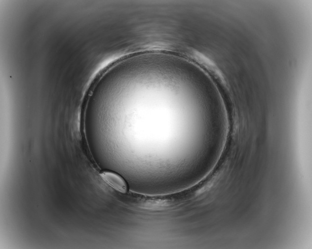 X0000087051174200704181230