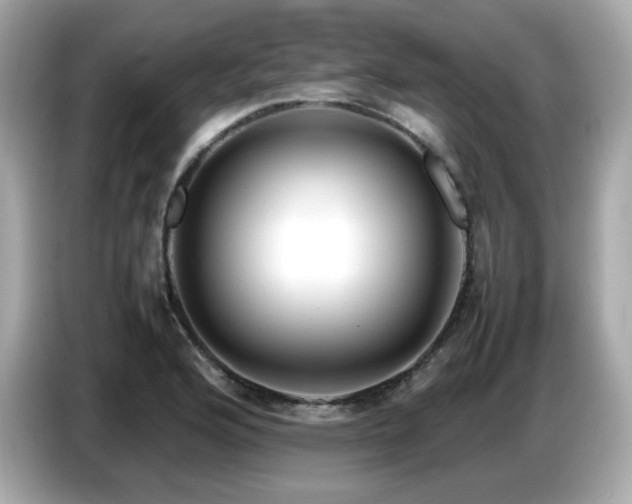 X0000087051176200704181230