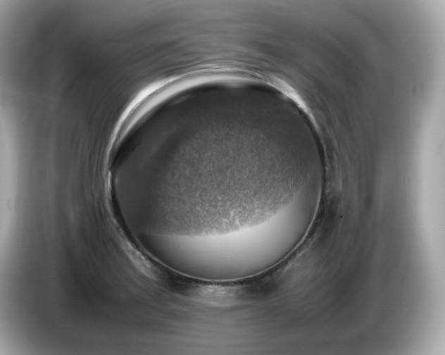 X0000087051179200704181230